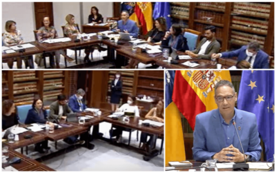 Canarias Convive se presenta en el Parlamento de Canarias a través de la Comisión de Derechos Sociales, Igualdad, Diversidad y Juventud